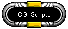 CGI Scripts